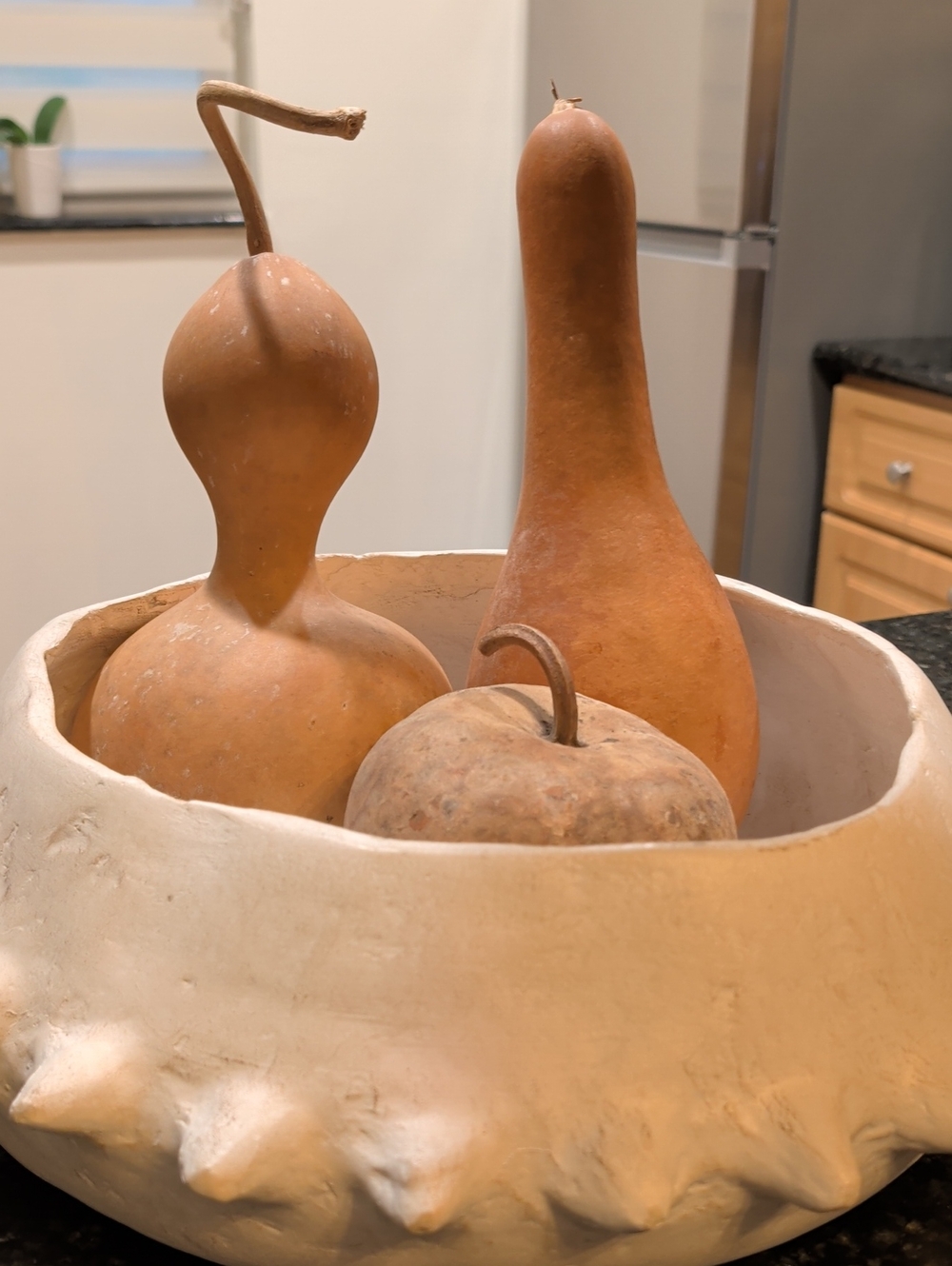 Vintage Look Decorative Natural Dried Gourd Set Of 3